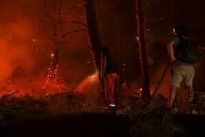 Home Hardening for Wildfire: Upgrades That Can Lower Your Insurance Rate