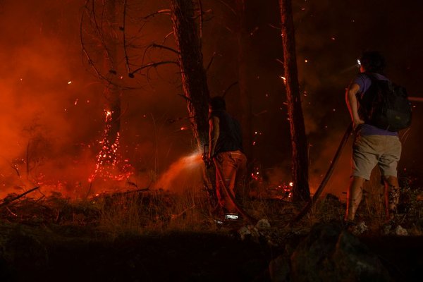 home hardening wildfire mitigation discount